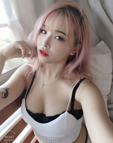 南风知我意电视剧免费观看