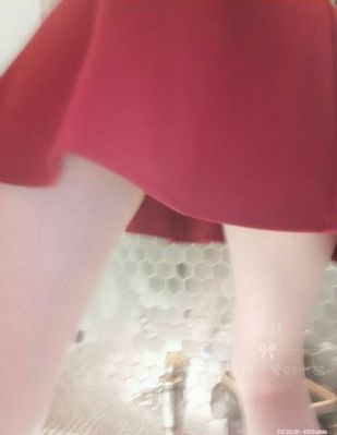 西门子双开门冰箱
