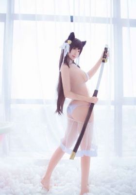 藏药令电视剧免费观看全集