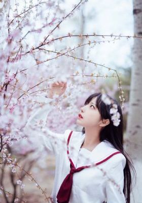 茶啊二中第四季